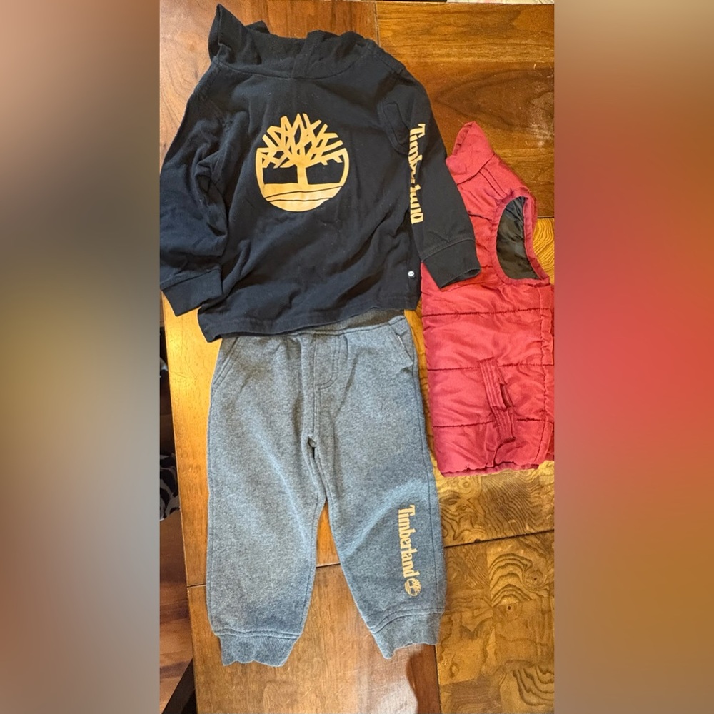 Timberland Kids Gray Sweatpants Set